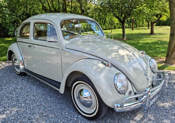 Volkswagen Garbus cena 134000 przebieg: 250, rok produkcji 1962 z Łuków małe 781